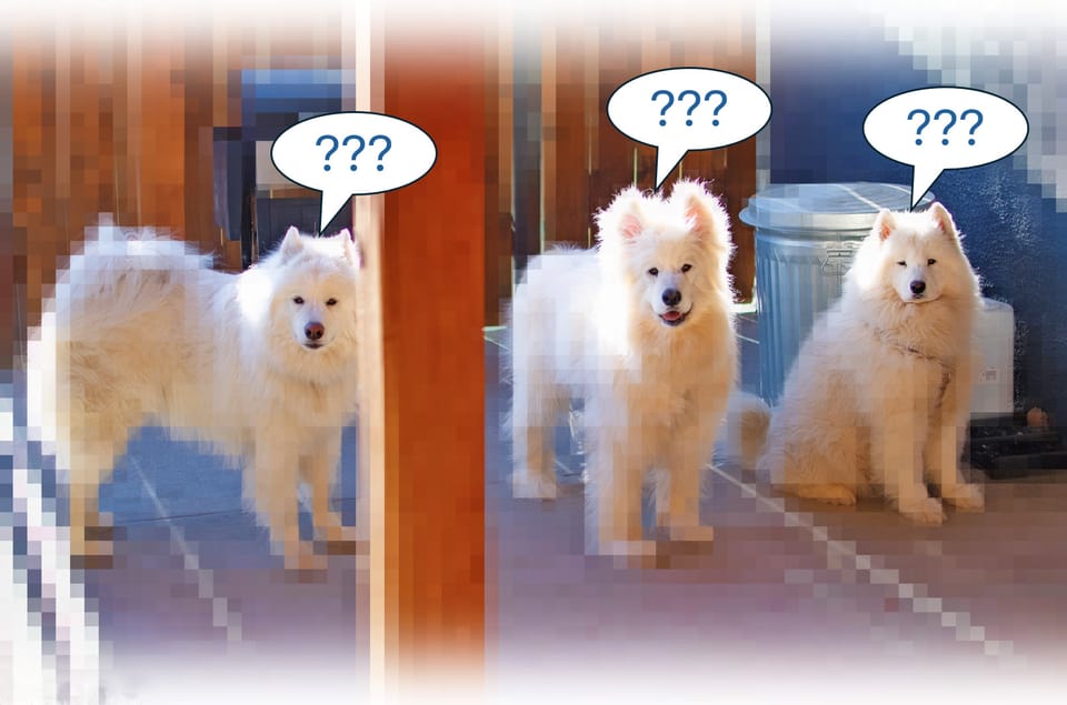 Building a better site