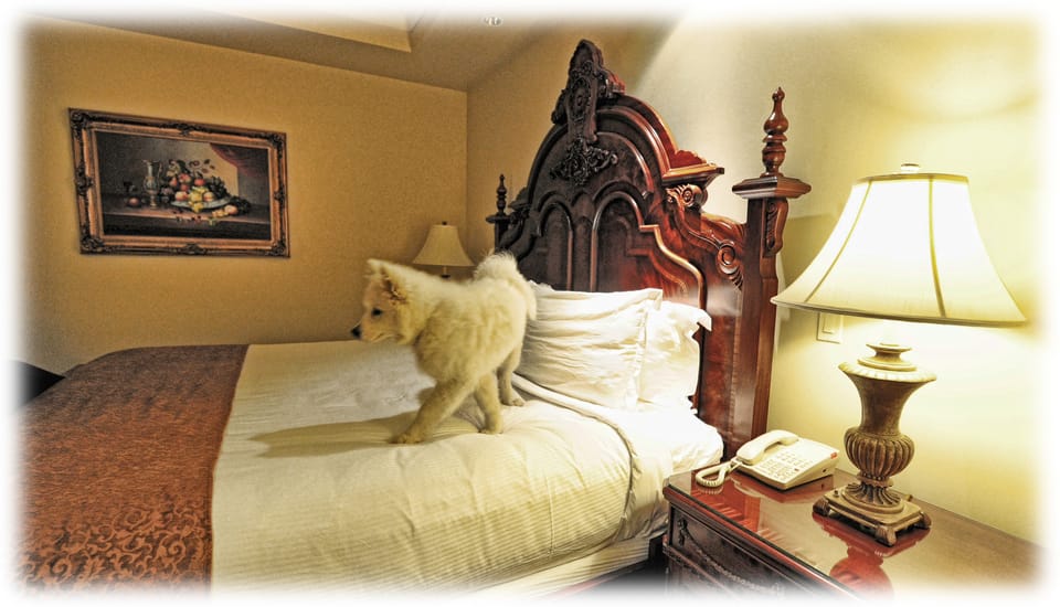 Throwback Thursday: Jamie at the Davenport