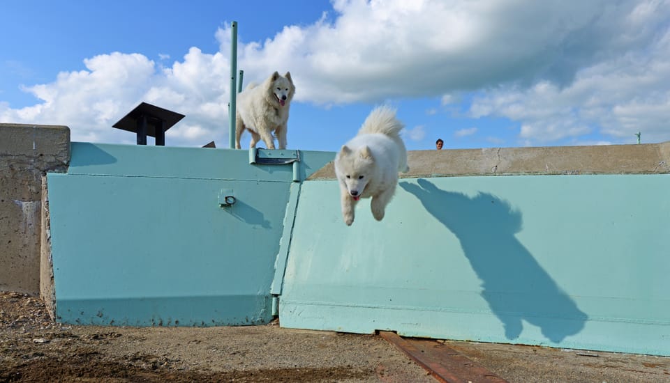 TBT: the Oscar-Zero missile facility