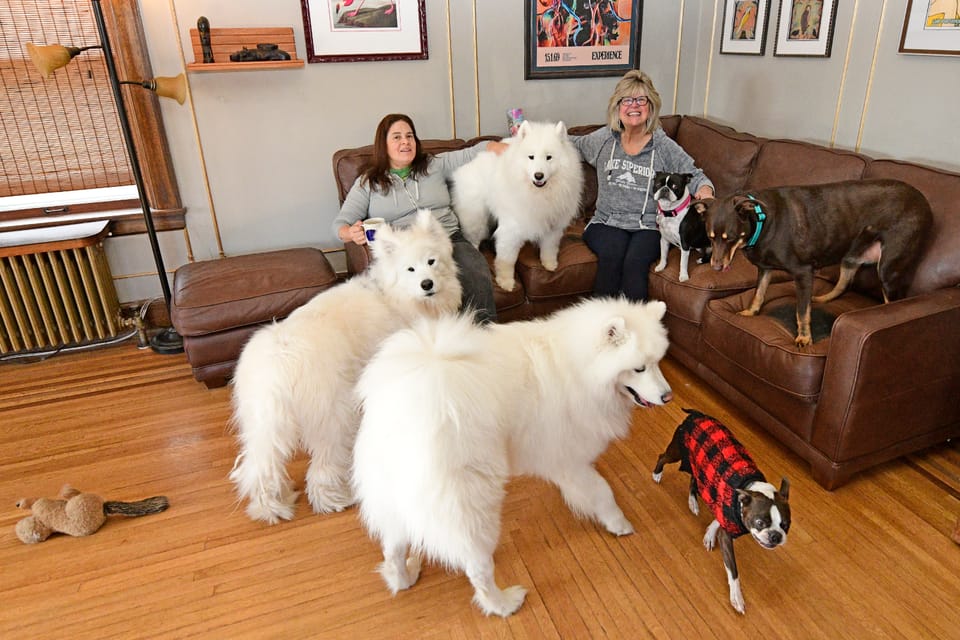 Entertaining the neighbors