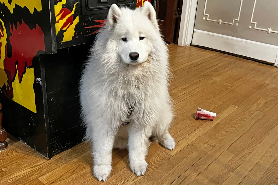 the patience of Nancy