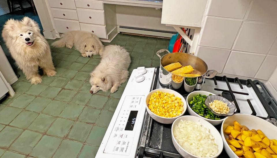 Helping make dinner