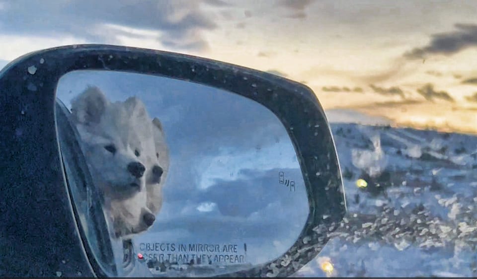 After dinner drive and walk