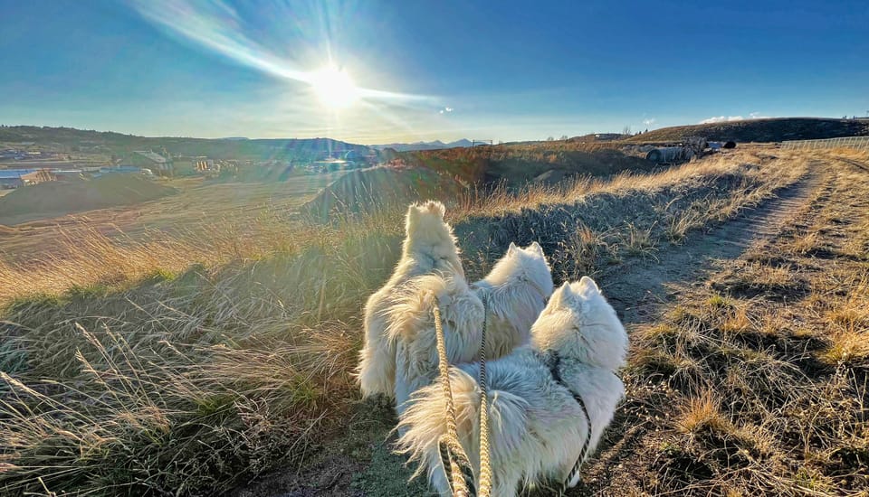 Sunset walk by the railroad tracks